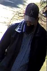 Photo of suspect wearing dark colored jacket, checkered white and blue shirt with a black Hurley ballcap.